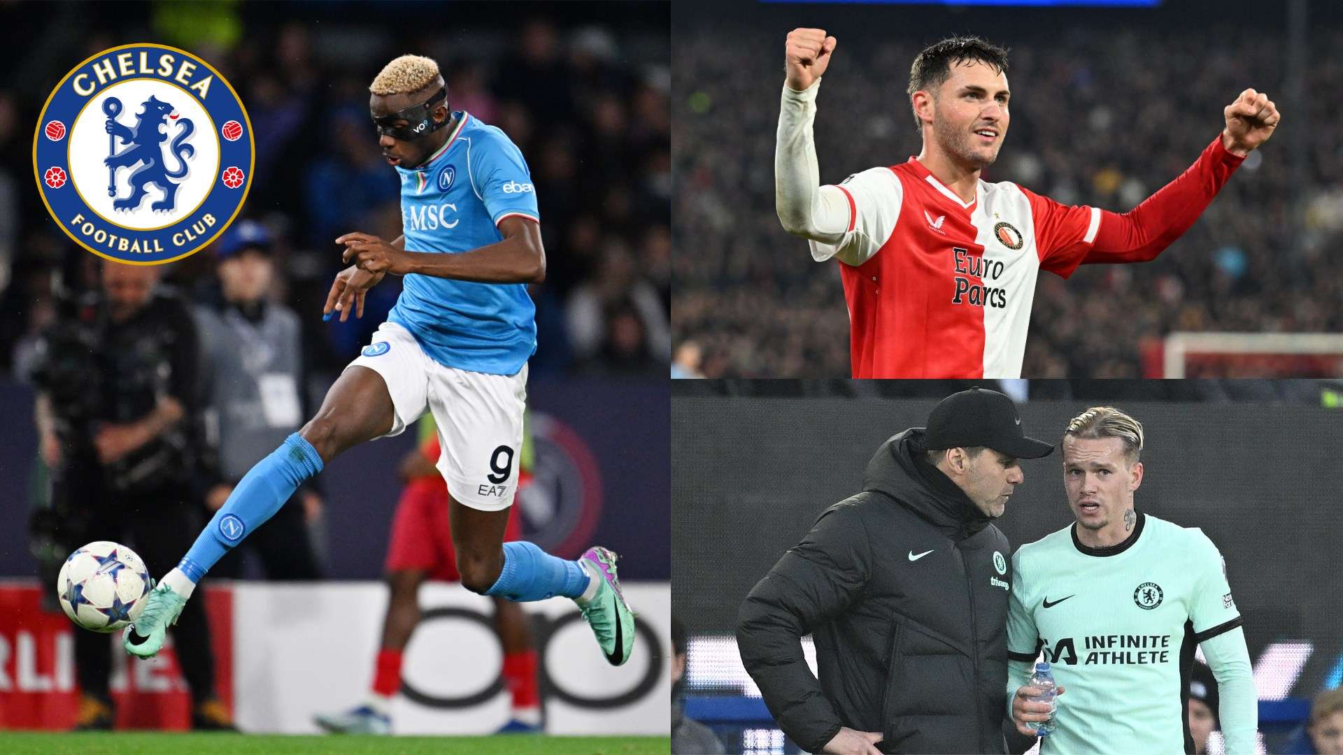 明了双方目 明了双方目