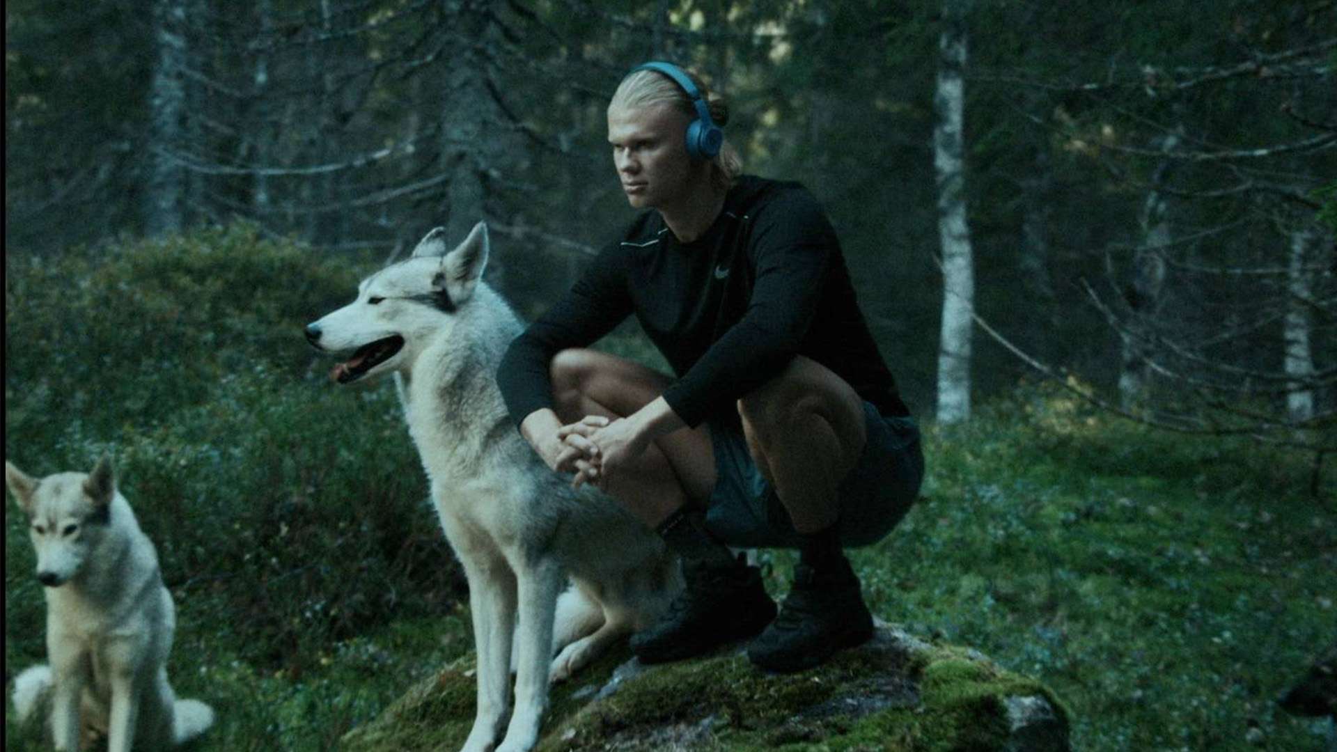 管理手段 管理手段